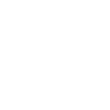 Social Icon 