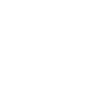 Social Icon 